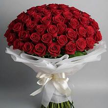 Букет 101 Красная роза Блэк Мэджик в Чепигинской